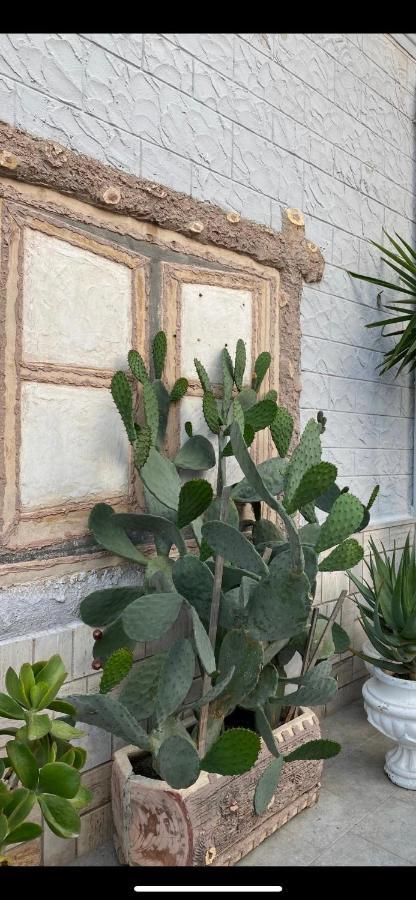 Casa Myda Διαμέρισμα Μπάρι Εξωτερικό φωτογραφία